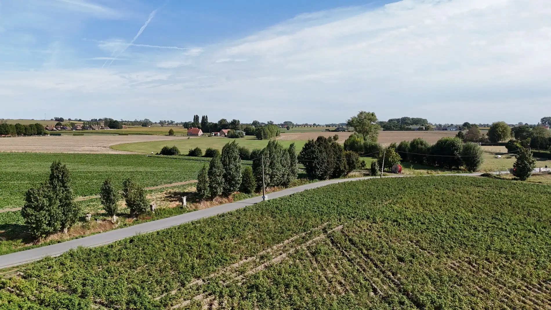 Landbouwgrond te koop van 2,88 ha te Koekelare Vrij van pacht na seizoen foto 8