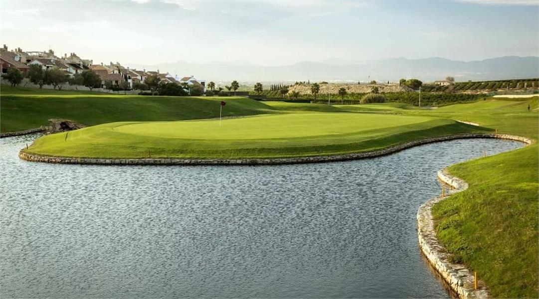 NIEUWBOUW WONINGEN IN LA FINCA GOLF foto 24