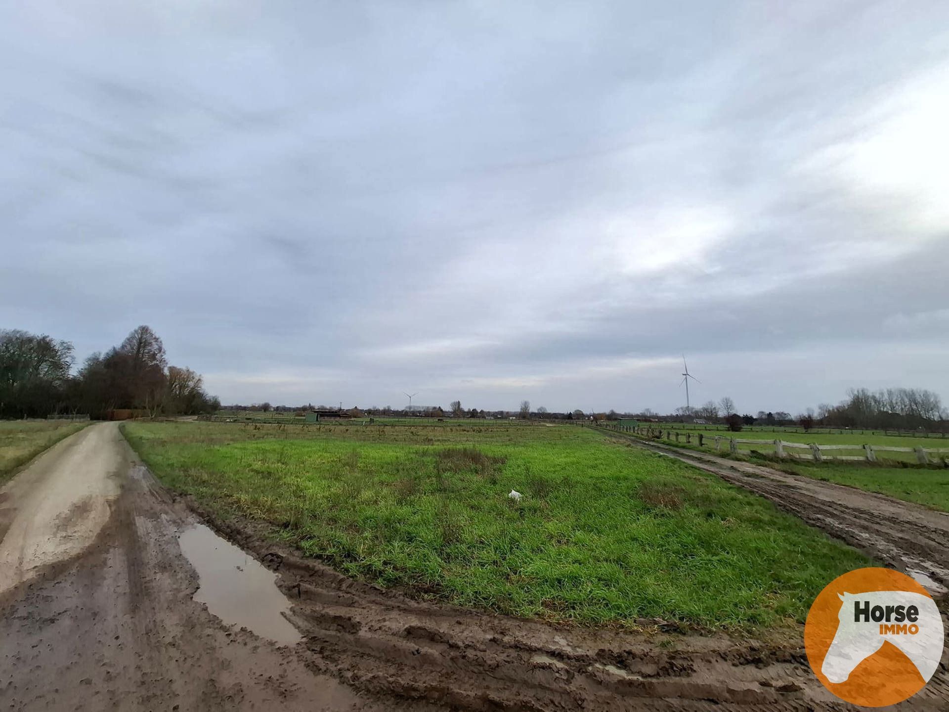 HAALTERT – Perceel weiland van 19a 10ca foto 6