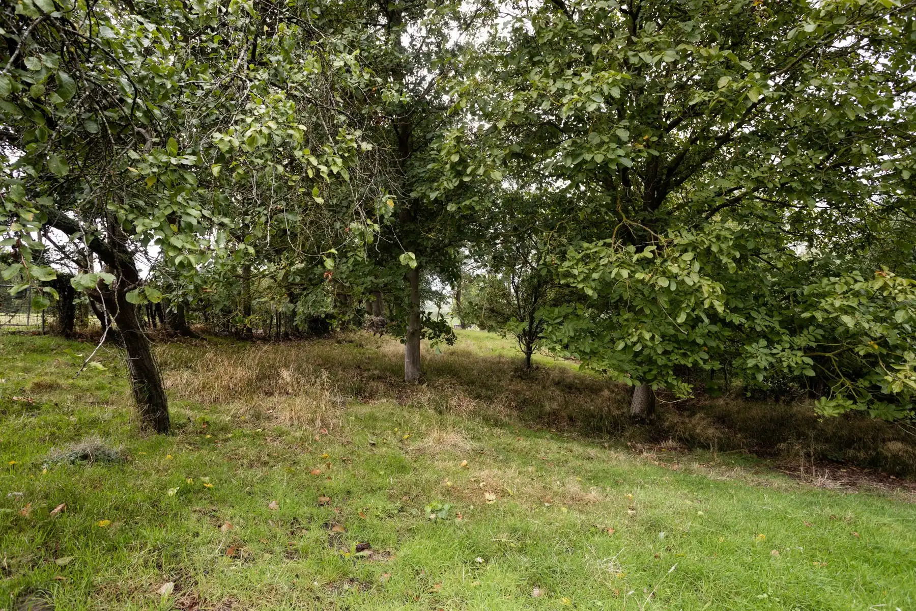 Ruime villa op perceel van 31a met gunstig uitzicht foto 30
