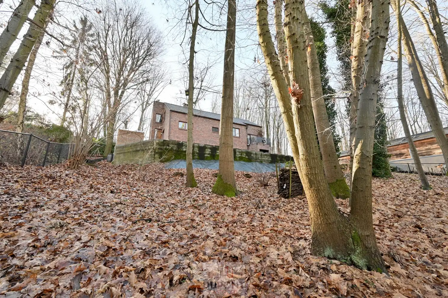 Villa gelegen in een prachtig bebost kader, zeer rustig gelegen, 3 tot 5 slaapkamers, zeer grote kelder. foto 17
