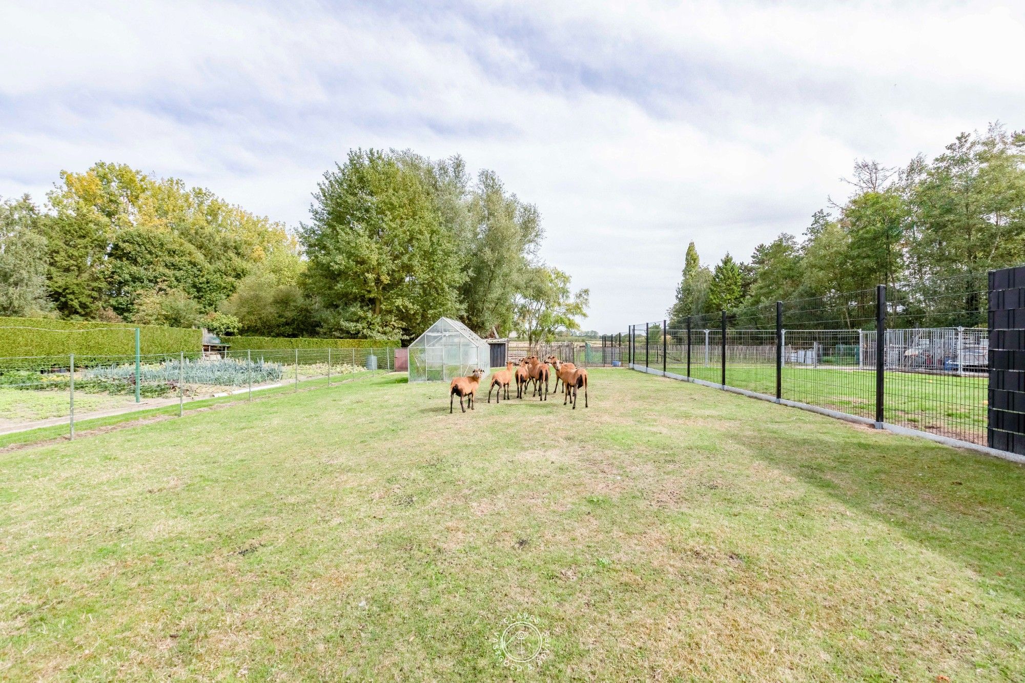 Praktische bungalow met werkplaats en weiland van 3.059 m² foto 3