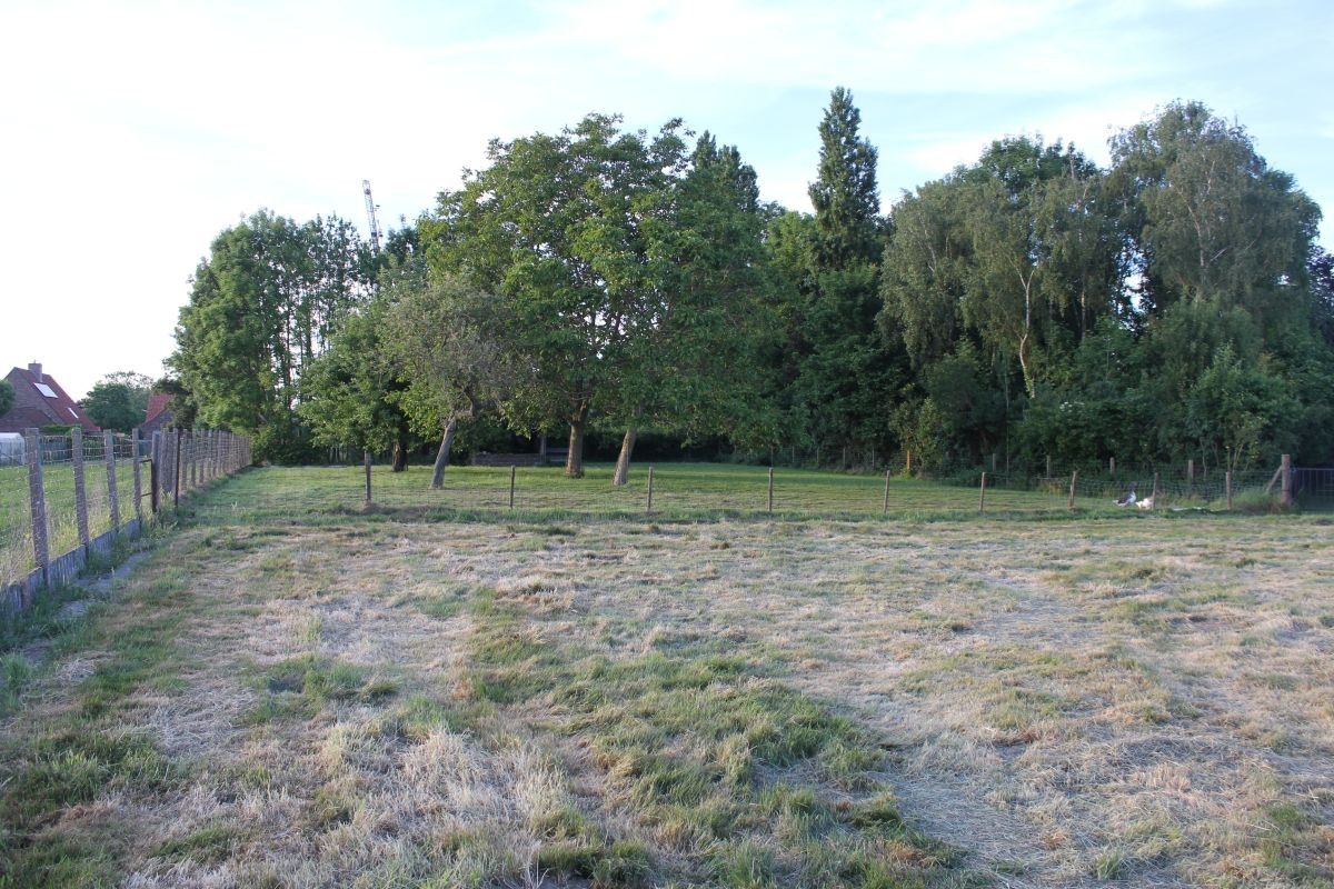 Hoevetje met residentiële woning en stallen te koop op 1 ha te Staden en Hooglede foto 12