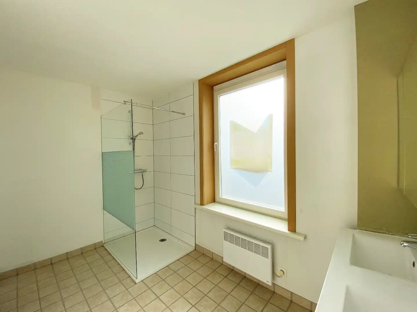 INSTAPKLARE RIJWONING MET KOER IN HARTJE IZEGEM foto 12