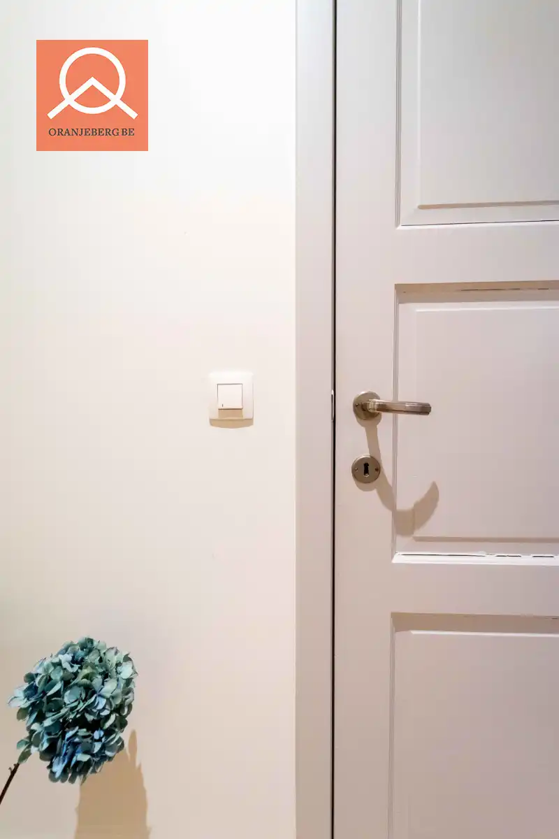 Prachtig gerenoveerd 2 slaapkamerappartement vlakbij de Vrijdagmarkt foto 28
