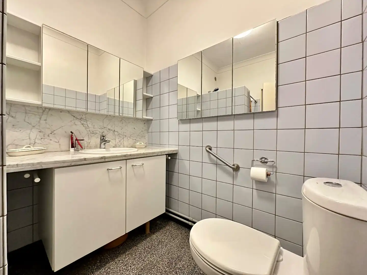 Ruime gezinswoning met prachtige tuin nabij centrum Tongeren foto 13