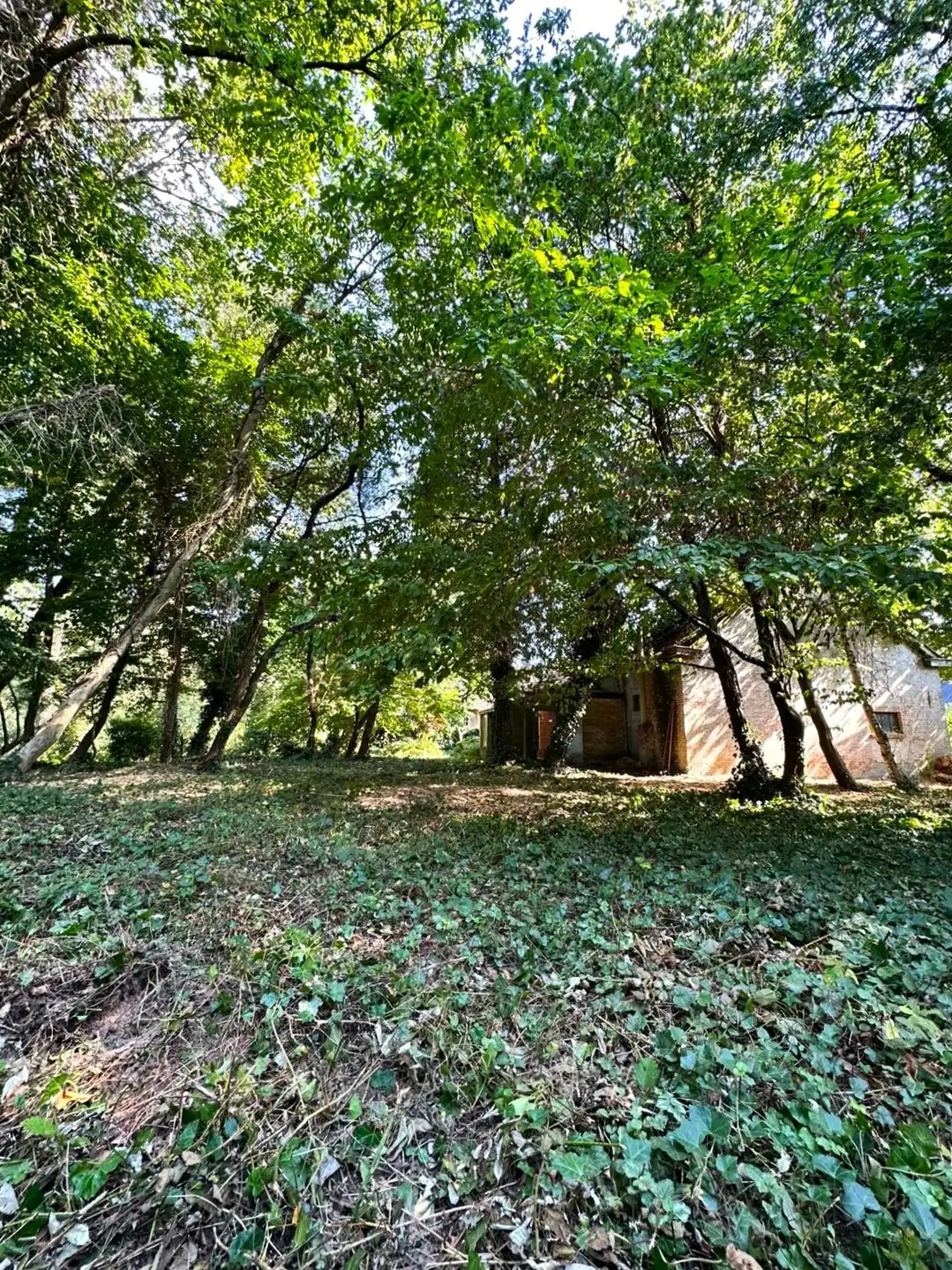 Villa te koop foto 3