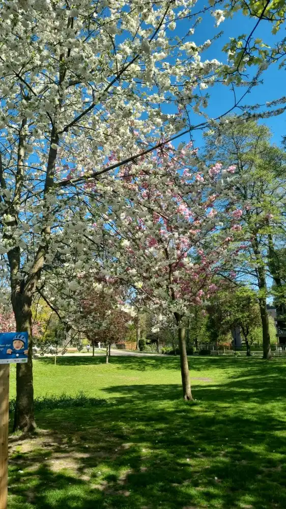 Opbrengsteigendom / gezinswoning in hartje Sint-Truiden foto 23