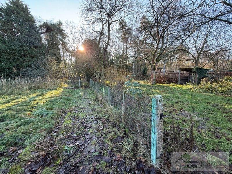 Woning op breed perceel - achterliggend natuurgebied - stal foto 5