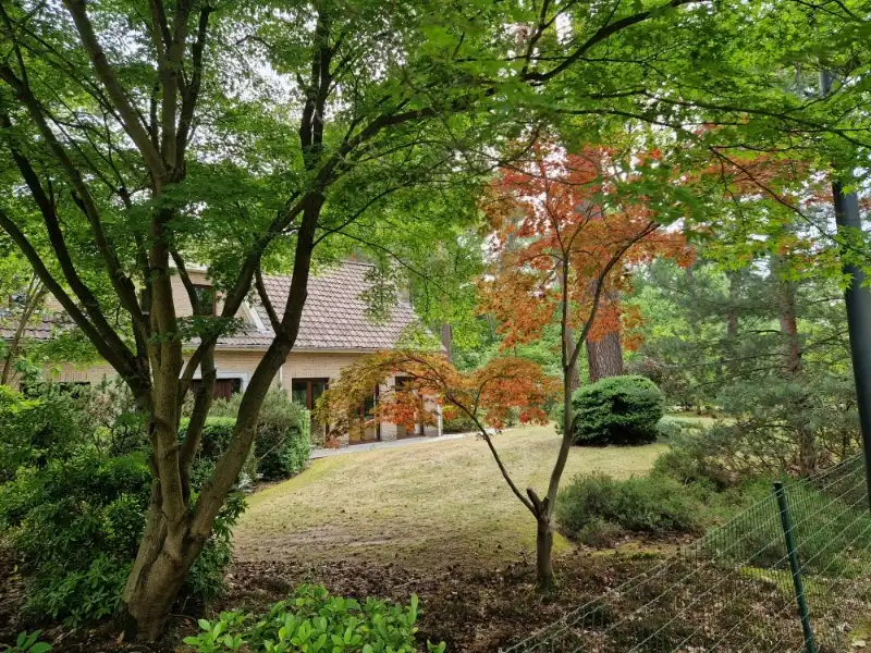 Mooi gelegen villa 330m² op 28 are tegenover natuur-wandelgebied foto 24