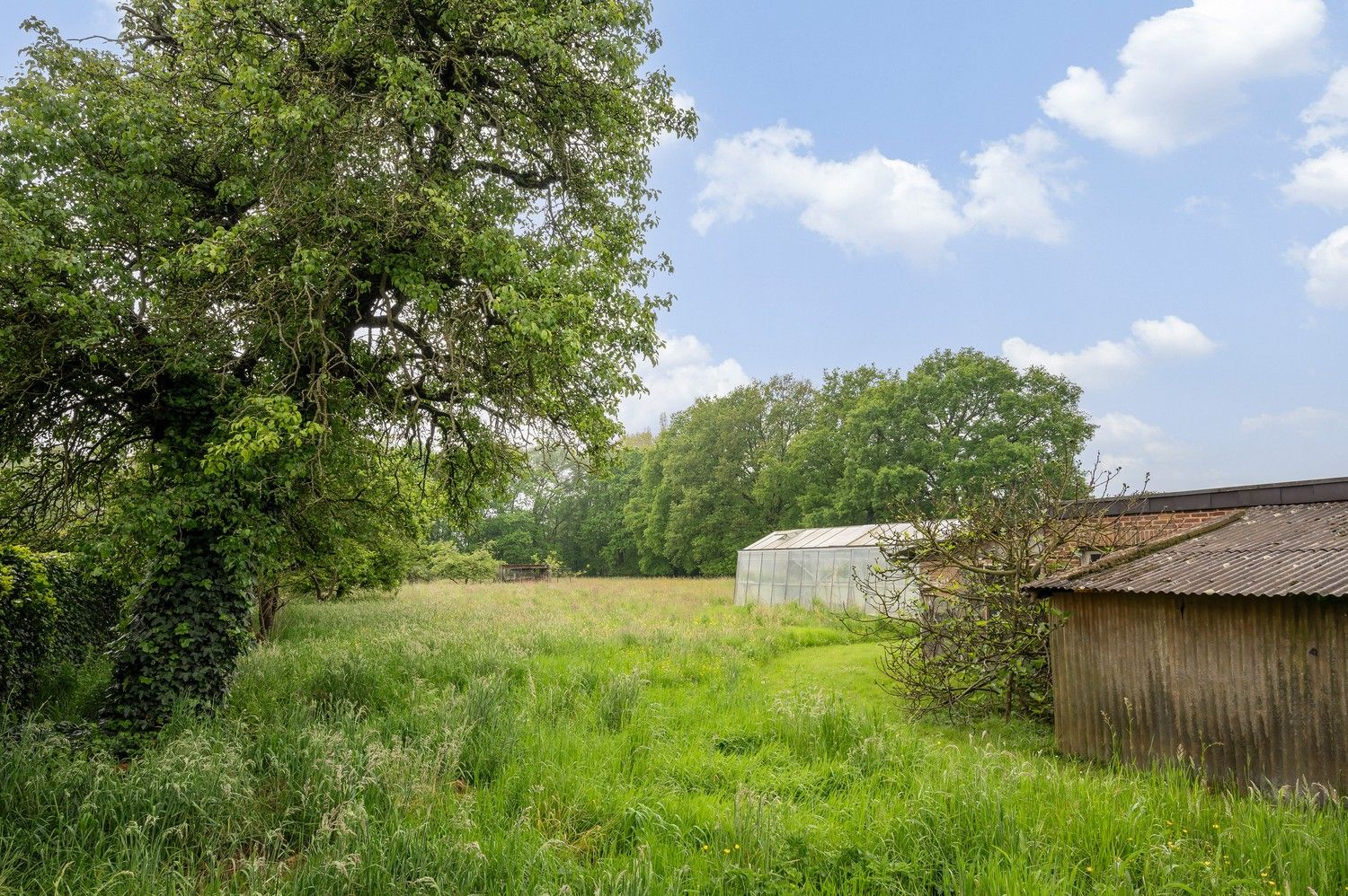 Rustig gelegen op te frissen ruime woning op 5225 m² foto 24