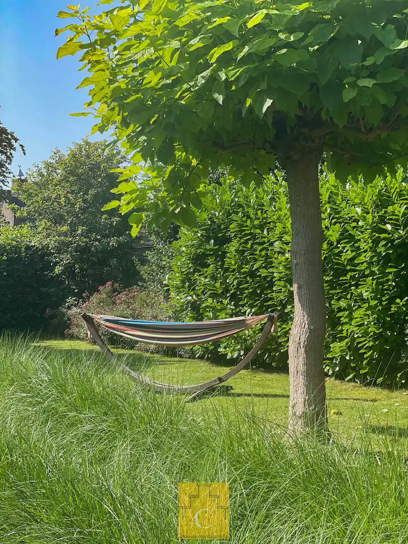 klassiek-moderne villa met garage en sublieme zongerichte tuin, stille ligging in het groen foto 4