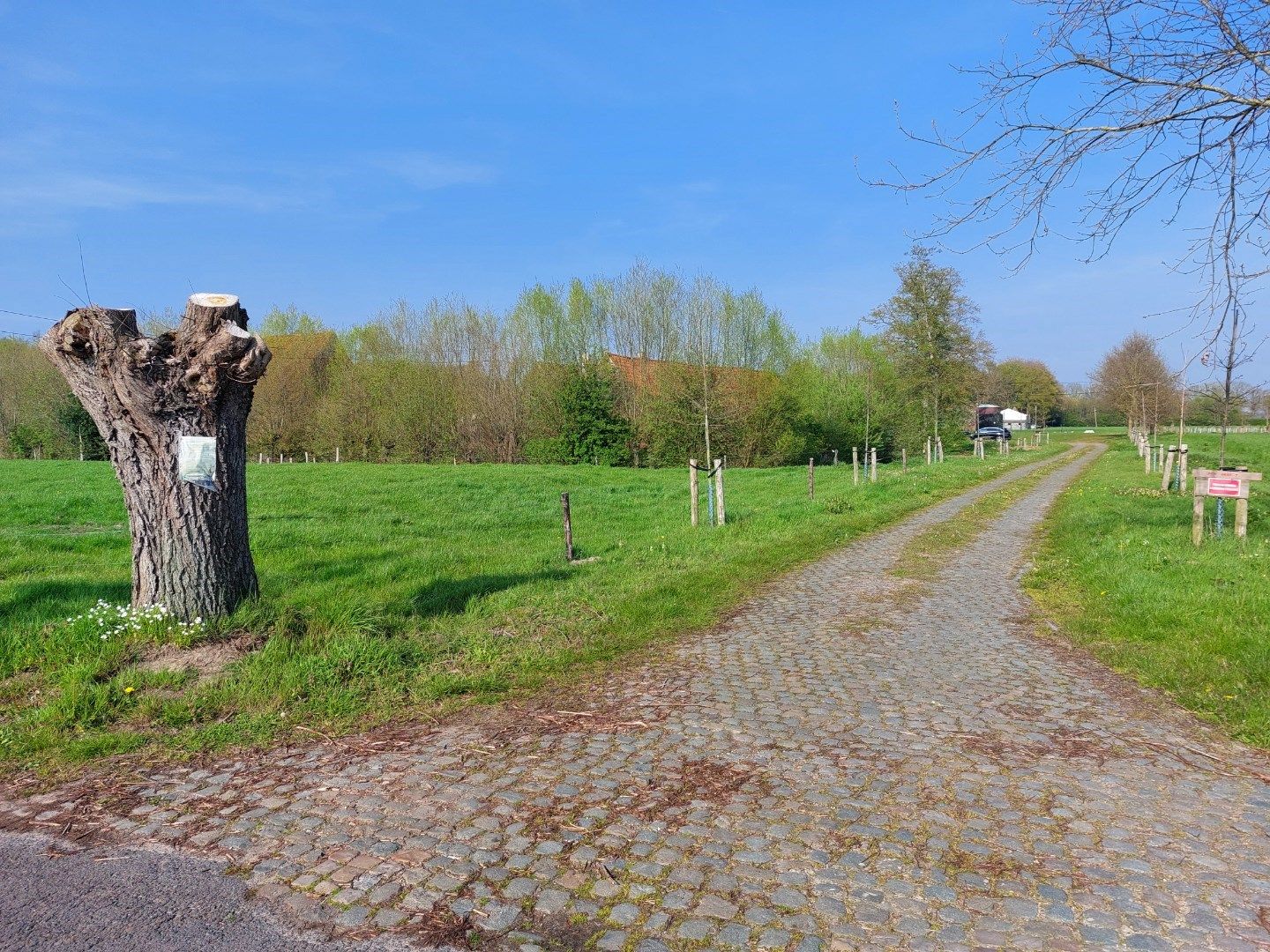 Gerestaureerde hoeve "Ter Leyden" foto 32