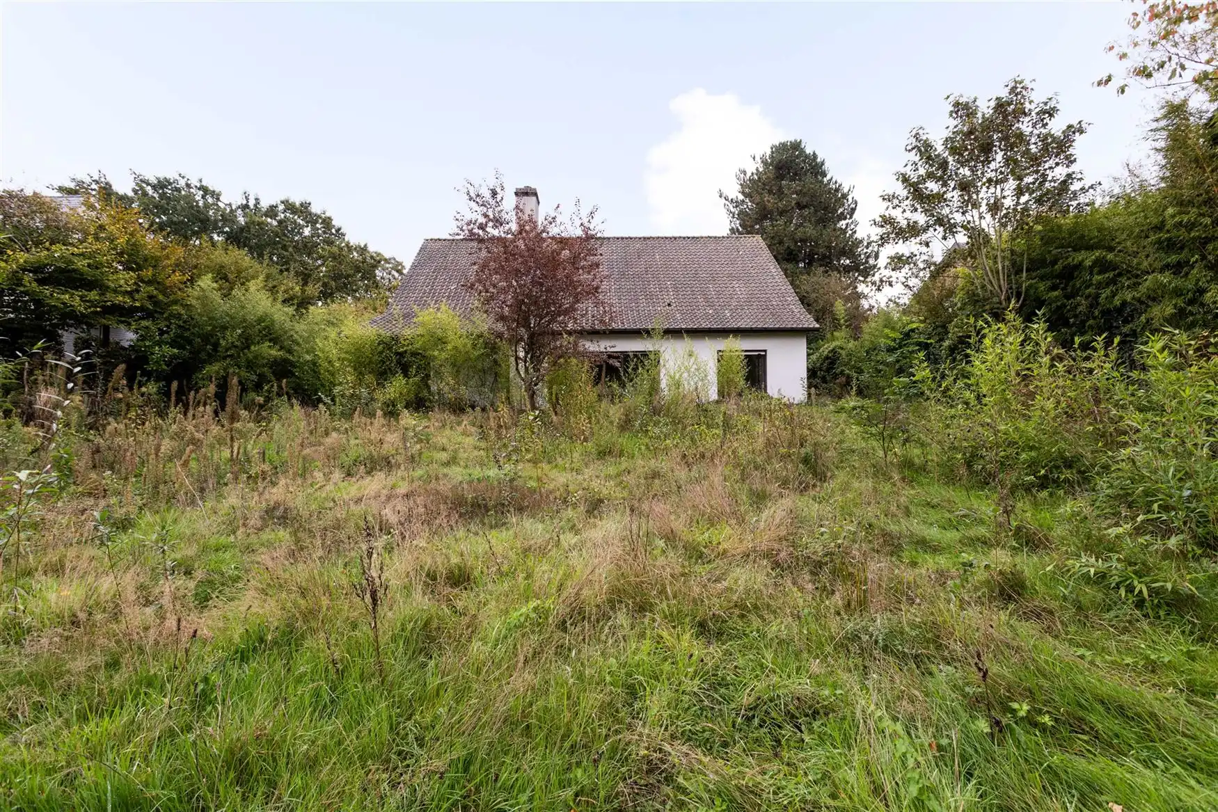 Bouwgrond met eigen bos op +4.000 m² in Eke foto 9