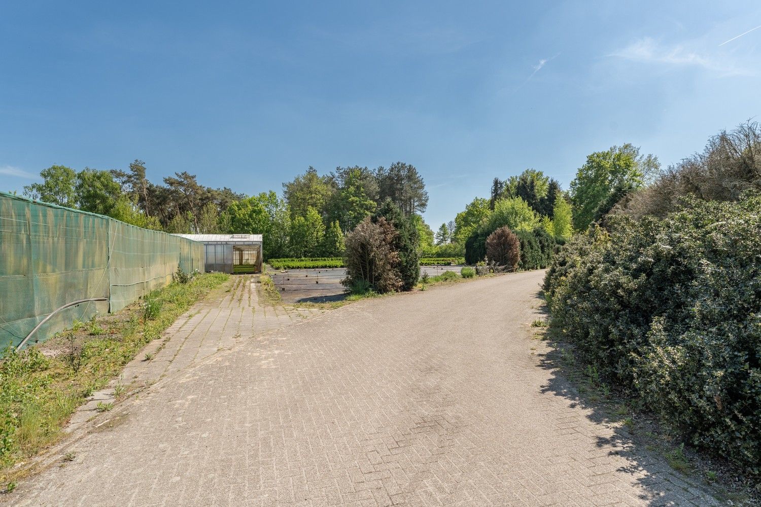 Uitgebreid Tuindersbedrijf met Woonhuis, Serres, Schermhallen en grote Bedrijfsloods op 2ha56a77! foto 16