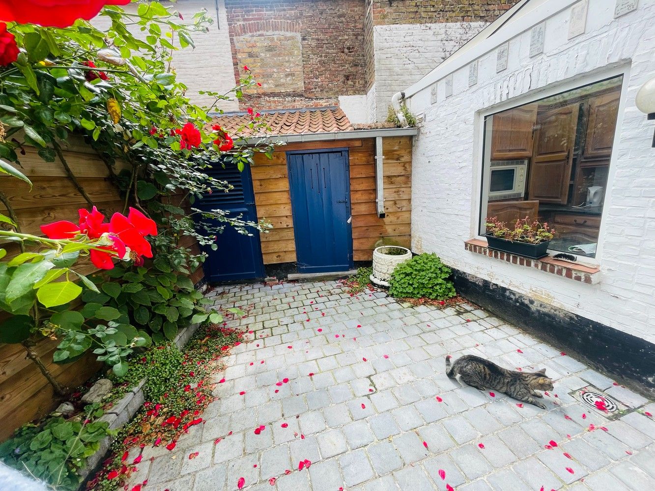 Brugge centrum, in verkeersarme straat  vlakbij 't Zand UITERST  CHARMANTE WONING met ZONNIGE  STADSPATIO en 2 grote slaapkamers. foto 3