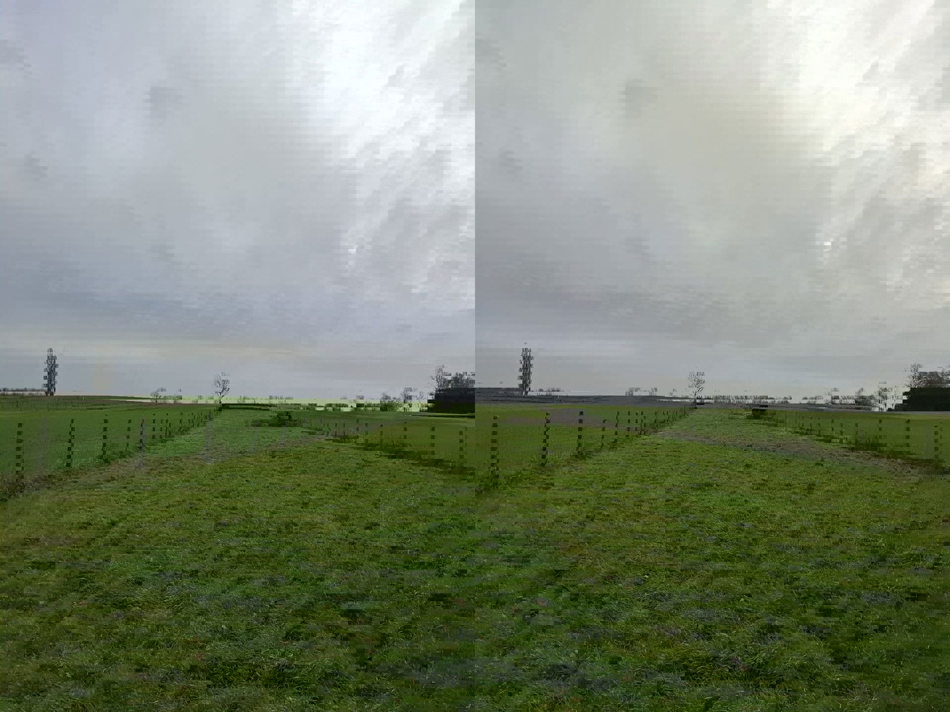 DENDERHOUTEM– Perceel weiland van 29a 50ca foto 8