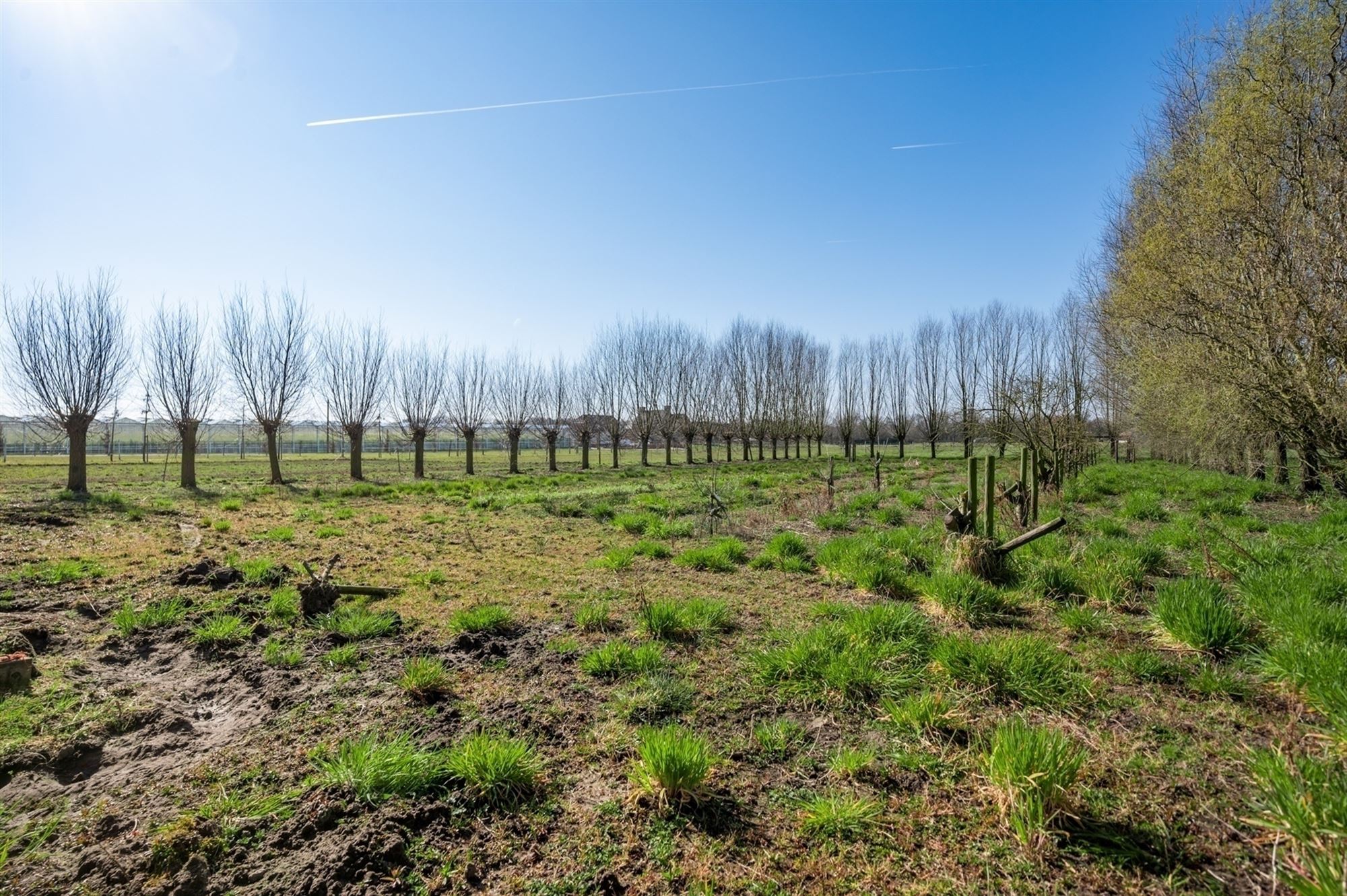 Op te frissen woning met loods te Koningshooikt foto 15