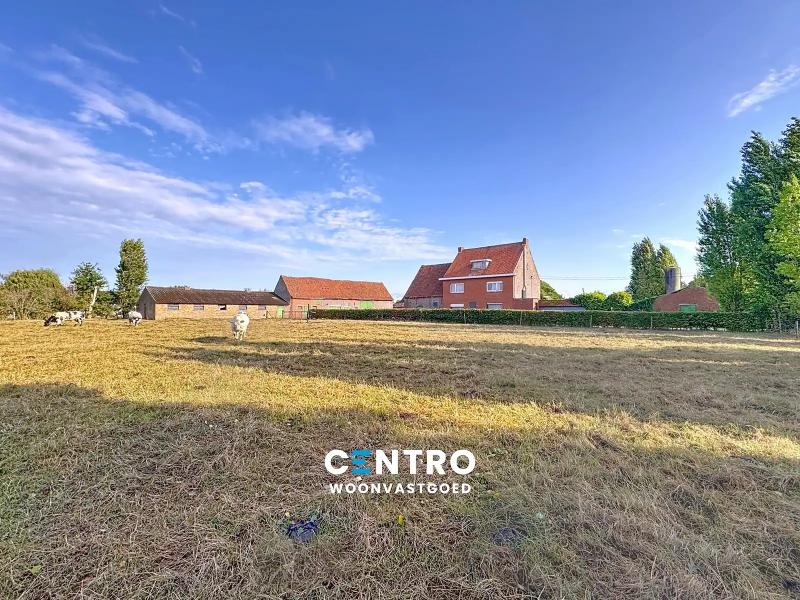 Te renoveren hoeve op circa 1 ha op GOEDE ligging! foto 2