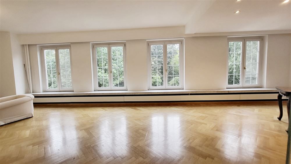 Ruim appartement met zicht op Stadspark foto 7