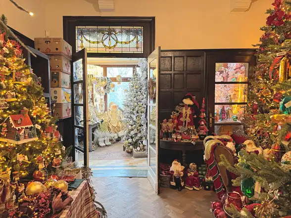 HANDELSPAND MET WOONST OP TOPLOCATIE TE DIEST! foto 11