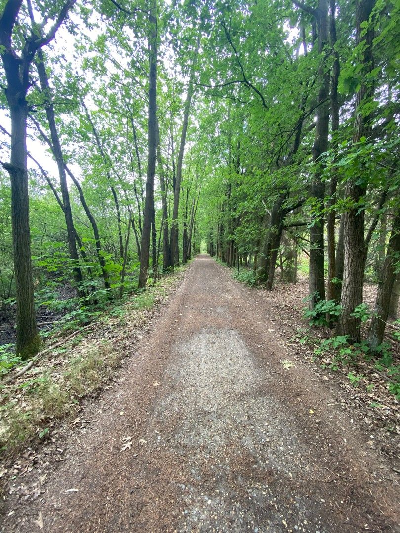 Recreatiegrond te koop met natuurlijke vijver in Westmeerbeek foto 5
