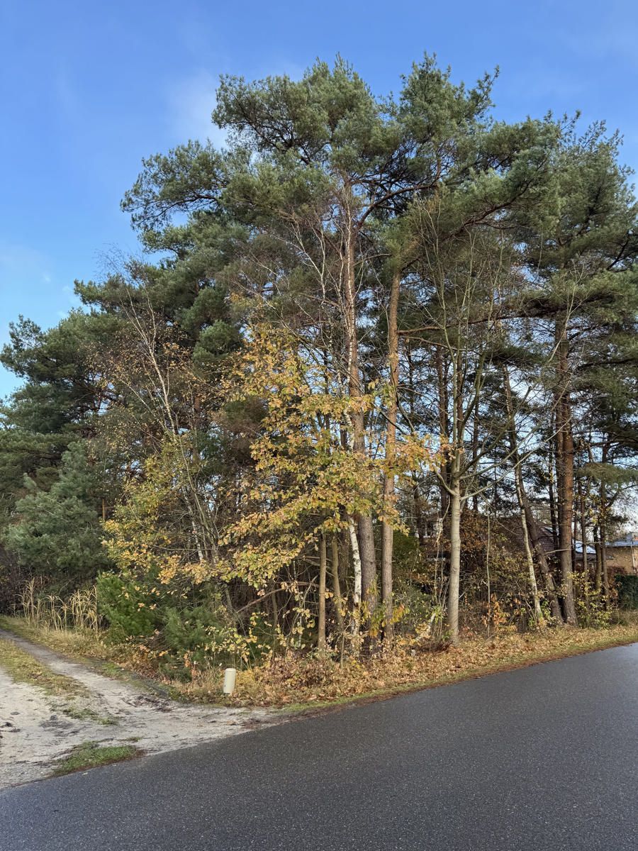 Ruime bouwgrond te koop in Balen-Wezel: ca. 3513 m² op rustige locatie foto 4