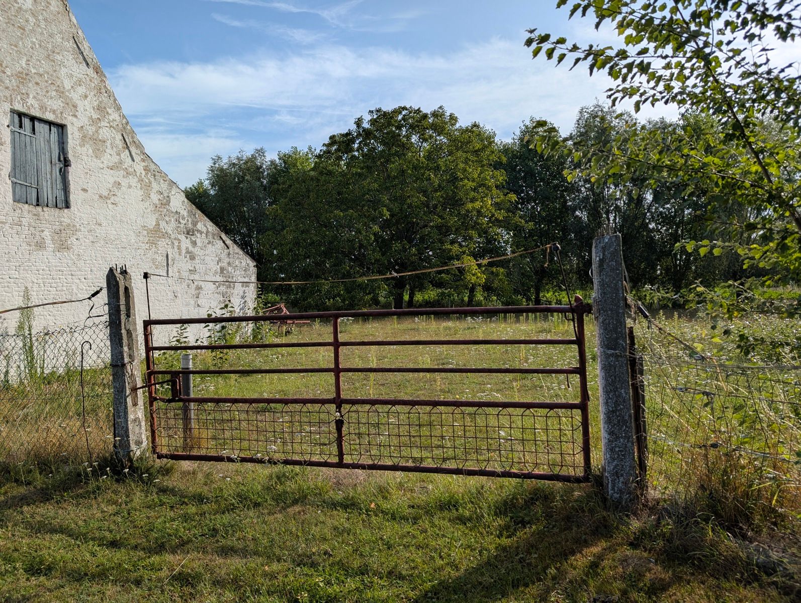 Authentieke hoeve te koop , Adinkerke foto 13