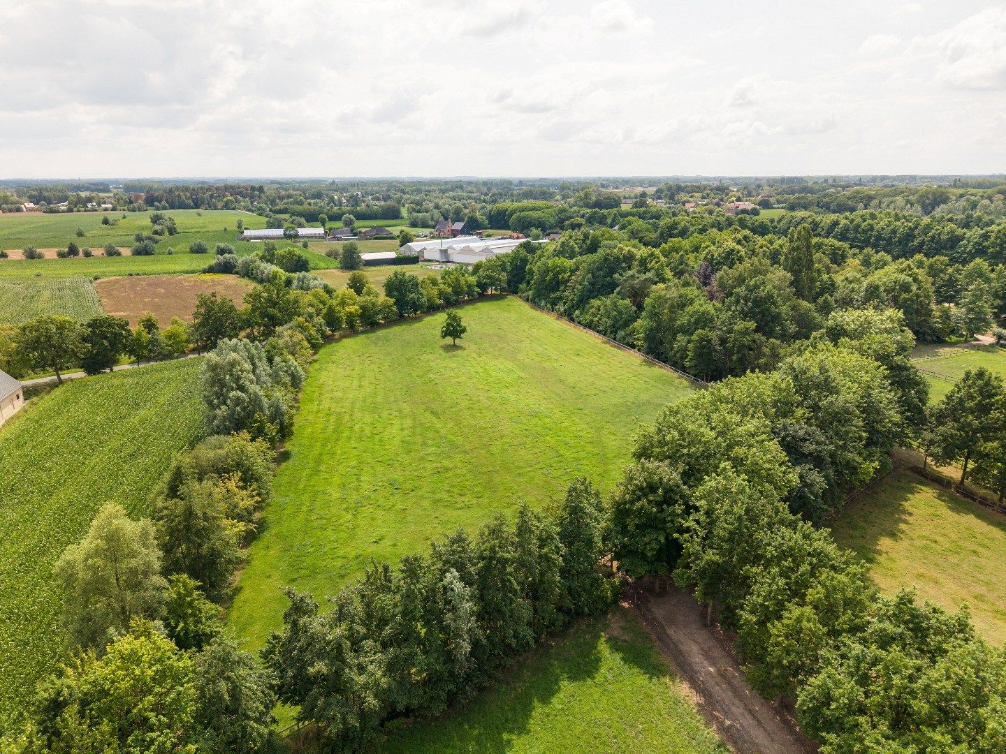 Prachtige landelijke villa met gezinstuin en graslanden op 32.558m² foto 47