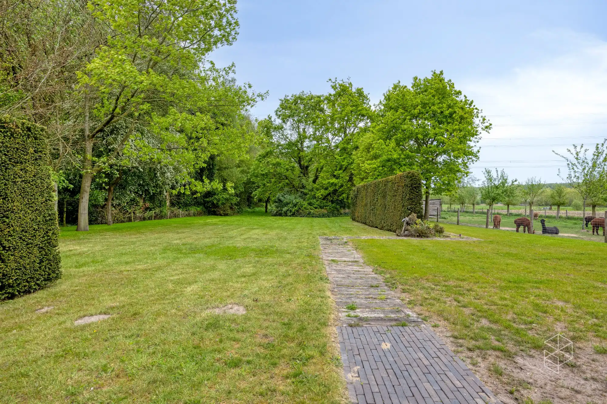 Karaktervolle villa met polyvalent bijgebouw, zwemvijver & aangelegde tuin met uitweg op 4.012m² foto 16