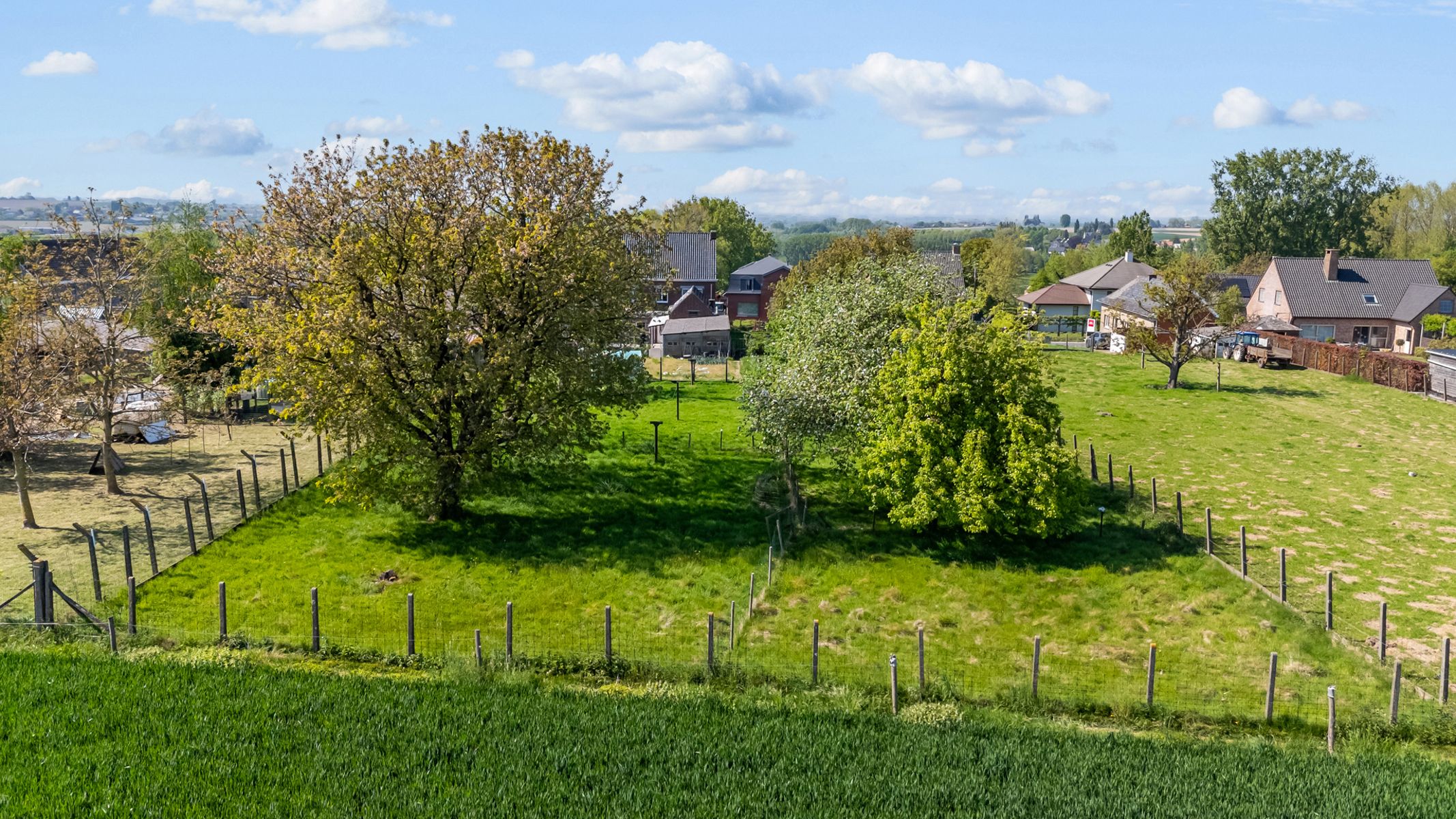 Rustig gelegen woning met boomgaard op 2768m²  foto 7