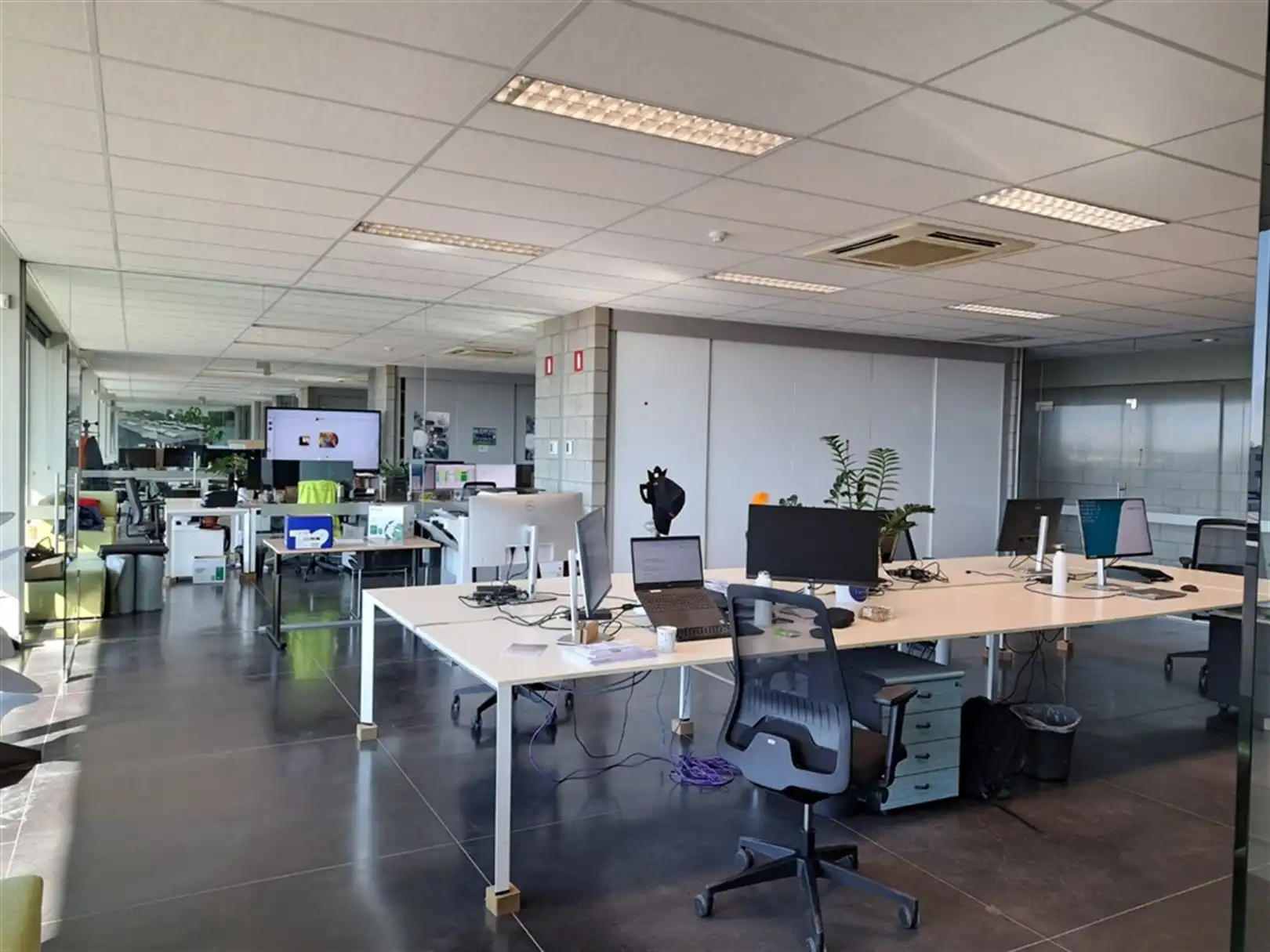Industrieel gebouw met laadkades en privatief buitenterrein foto 14