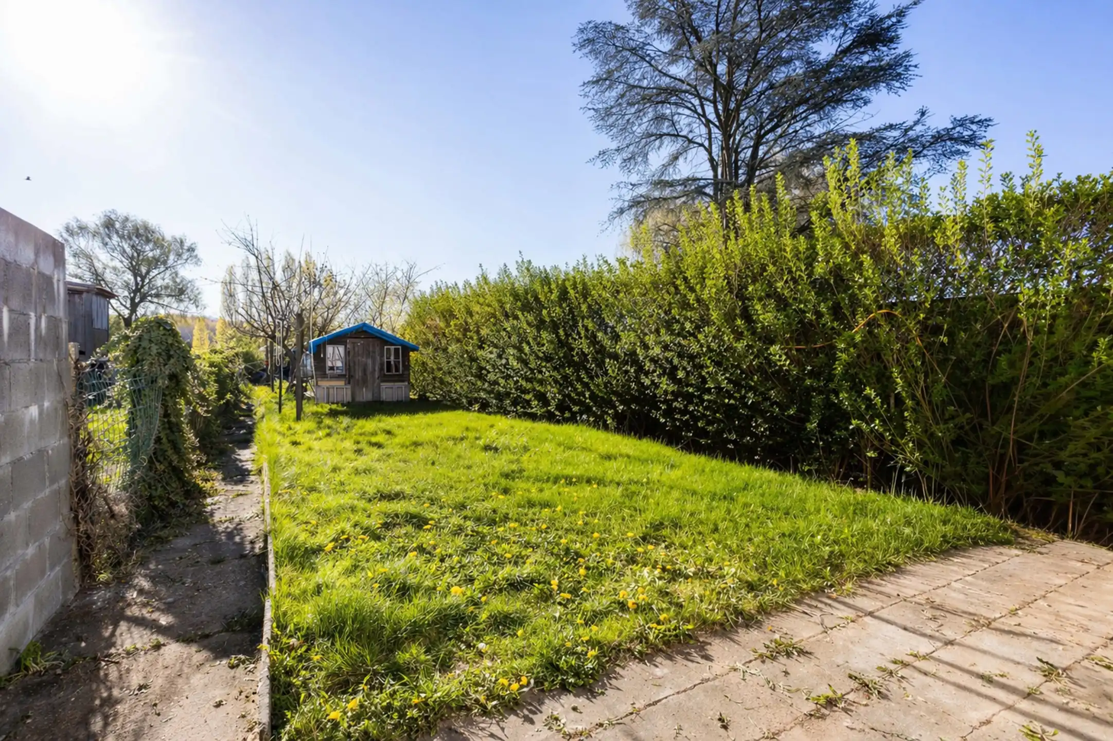 Heel ruime, energiezuinige woning met tuin in rustige buurt! foto 12