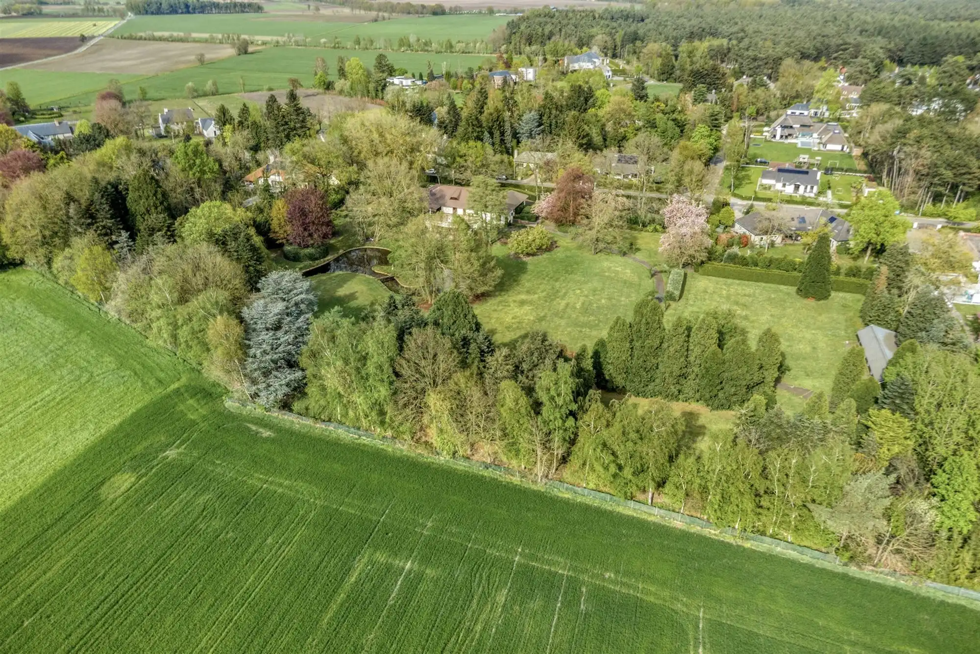 Exclusief landgoed met allure op parkdomein in Pelt foto 101