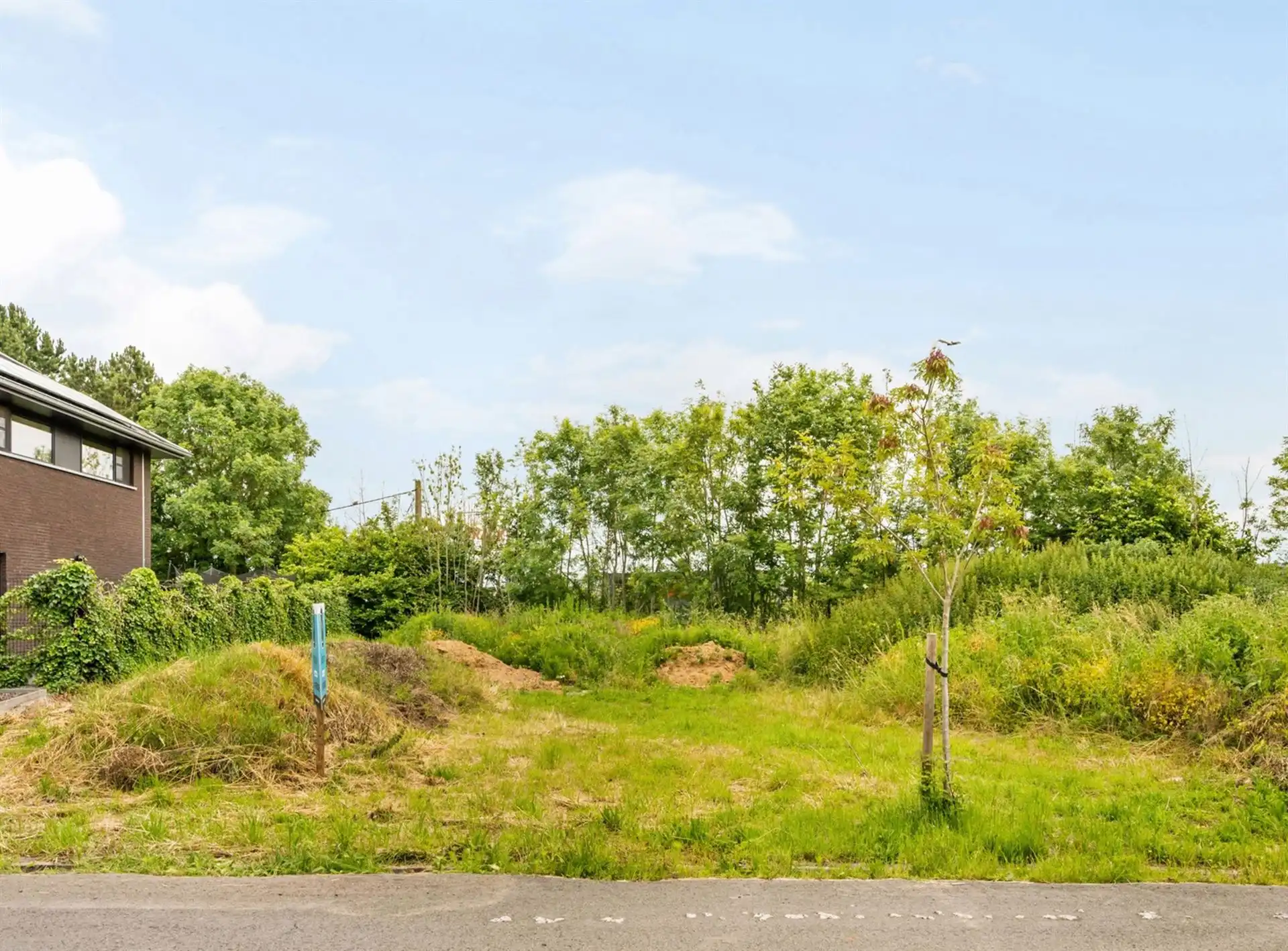 Bouwgrond van 609 m² in Dottenijs foto 2