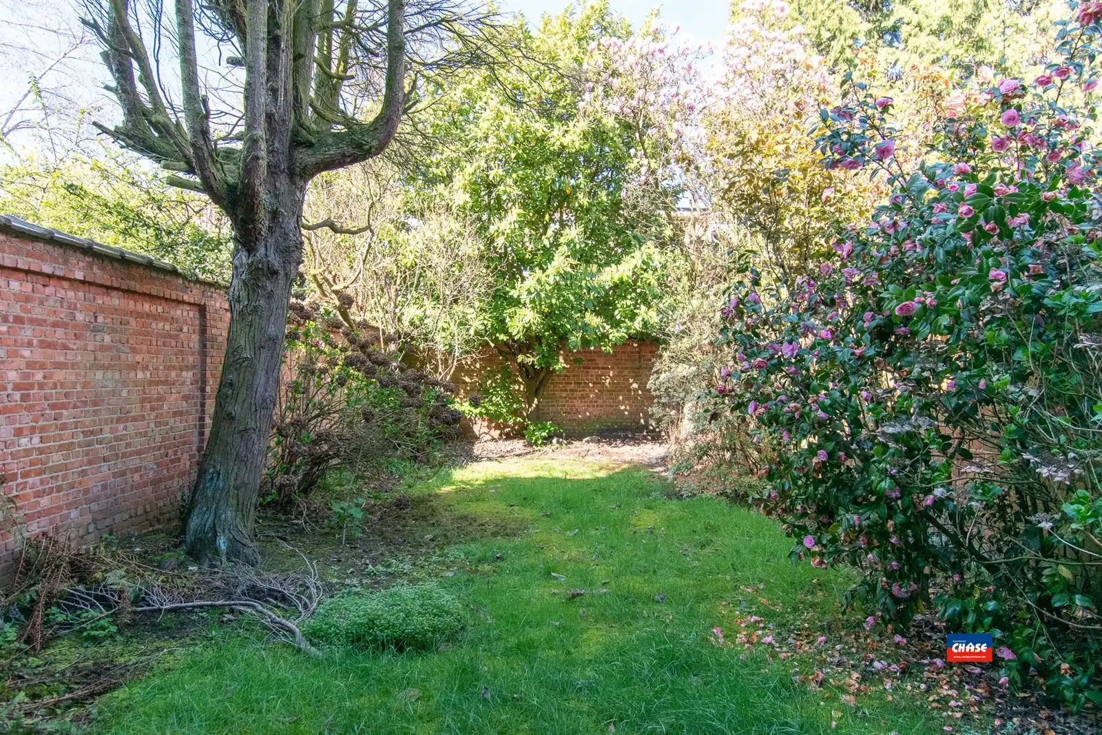 Te renoveren bel-etage foto 21