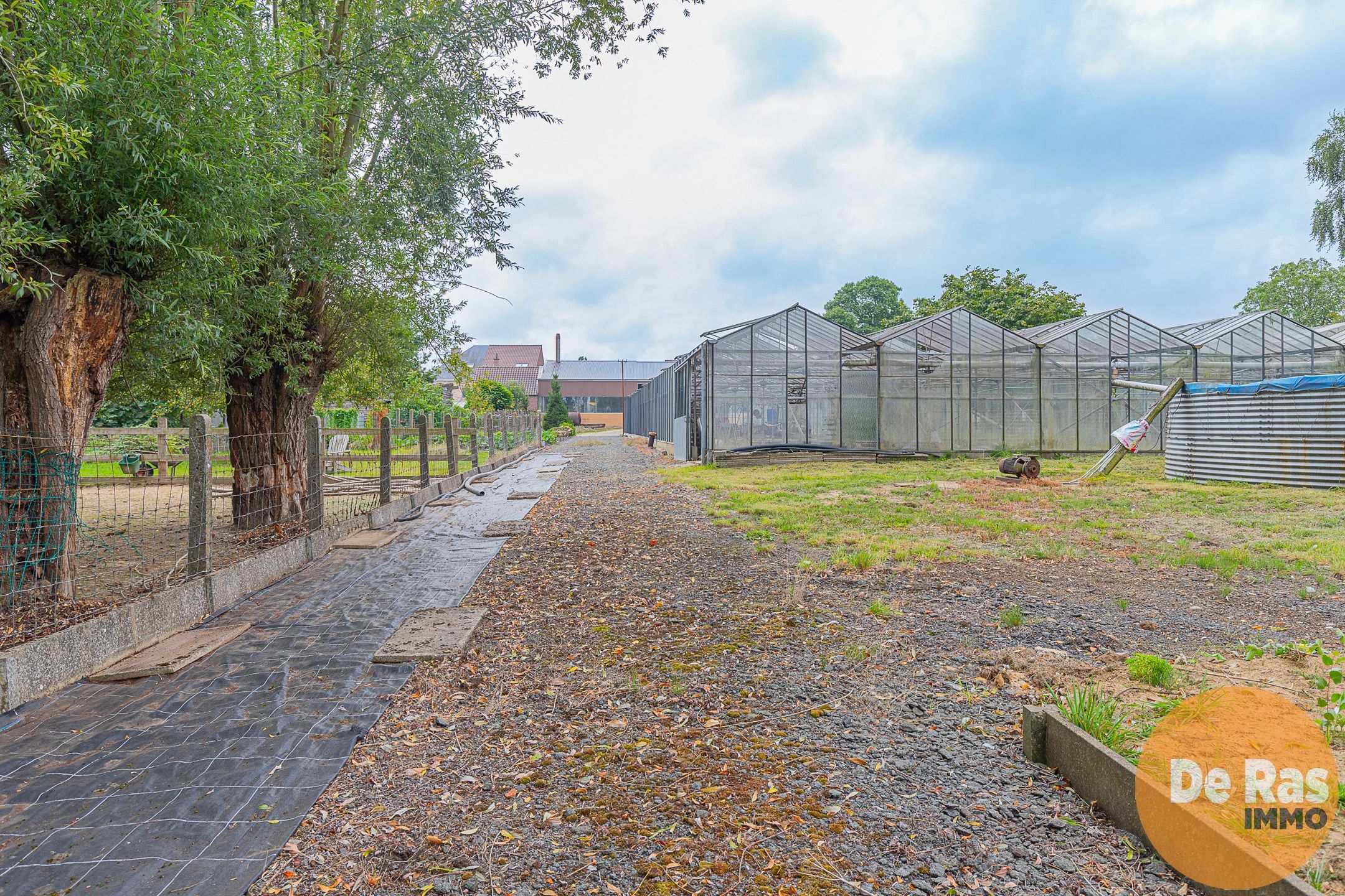 ERPE-MERE - Goed onderhouden woning met magazijn en serres foto 26