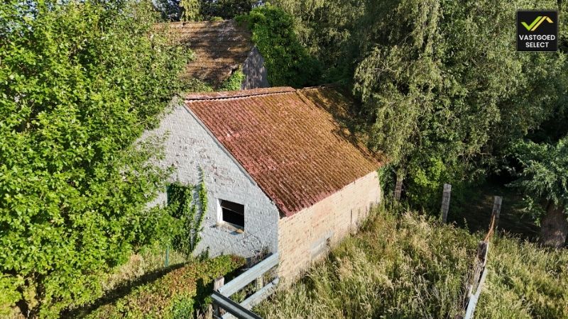 Te koop: Uniek Landelijk Perceel met Te Renoveren Hoeve, Vergunde Schuren en Nieuwbouwmogelijkheid tot 1.000 m³ – Ideaal voor Paardenliefhebbers foto 7