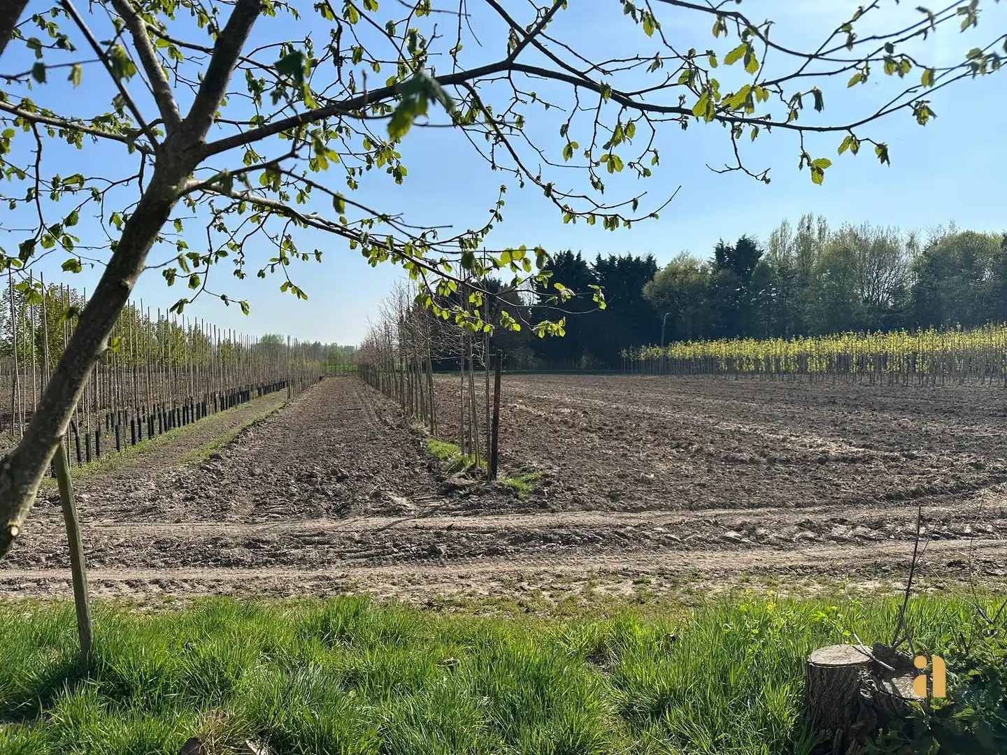 Bouwgrond in Wetteren Ten Ede met prachtig uitzicht! foto 6