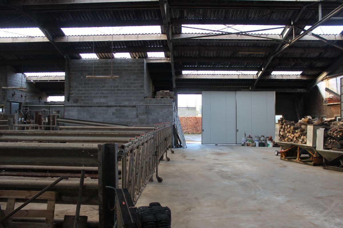 Hoeve met ruime stallen te koop te Zottegem op 4,68 ha foto 9