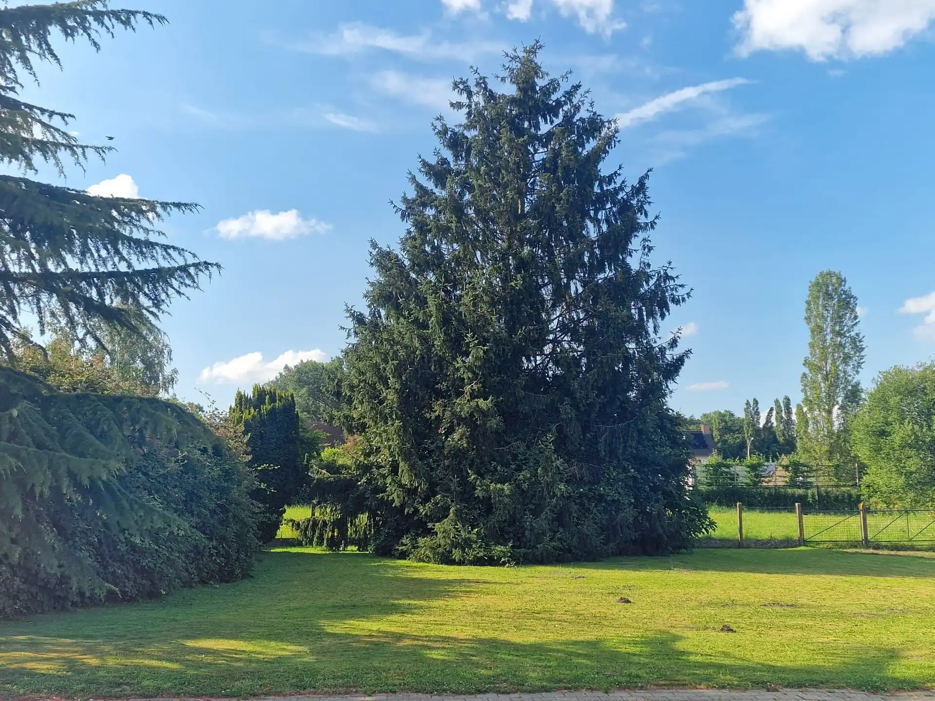 ZUIDGERICHTE RESIDENTIEEL GELEGEN VILLAGROND foto 5