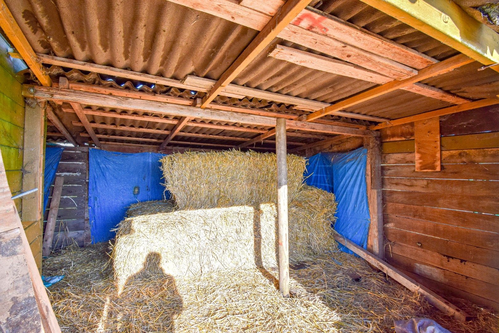  Mooi perceel weiland (2920 m²) met bijhorende paardenstalling op landelijke ligging te Westende foto 12