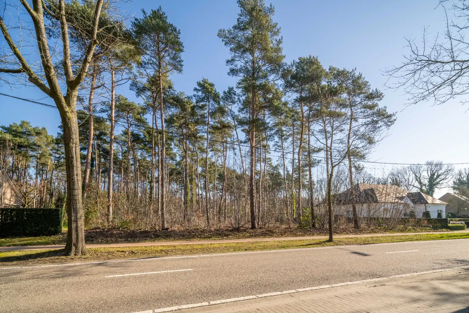 Exclusieve bouwgrond voor villabouw op een gegeerde ligging, 49a66ca foto 7