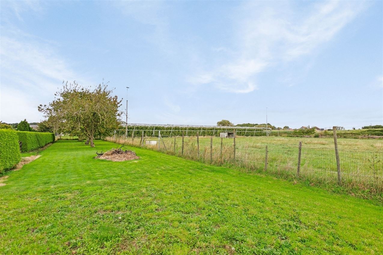 Instapklare woning, 3slk, met weiland 52a foto 43