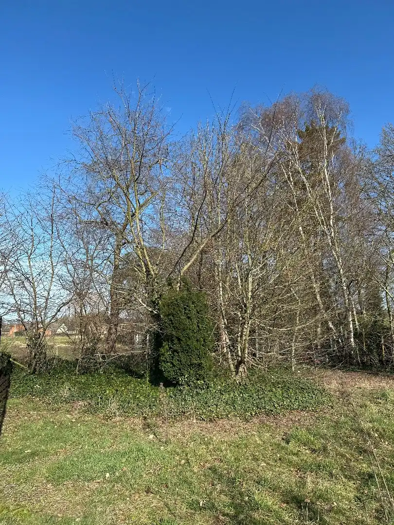 Centraal gelegen bouwgrond voor open bebouwing te Kermt, 14a 53ca foto 19