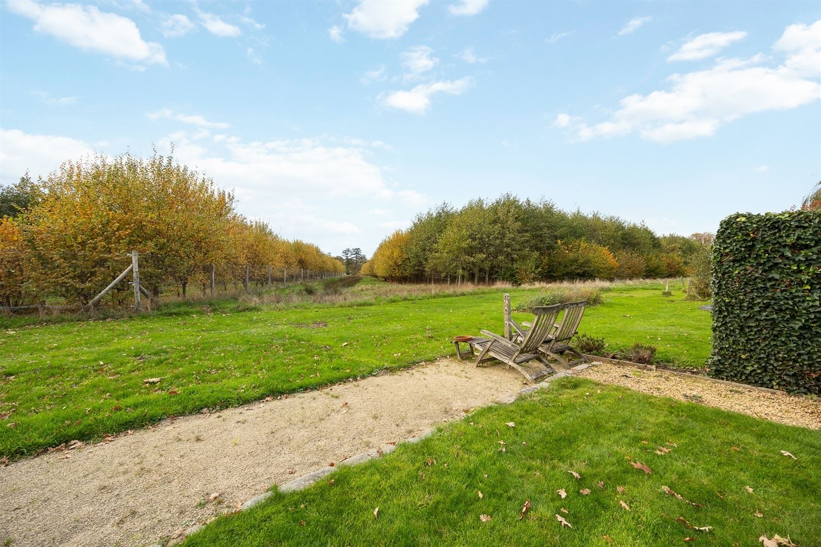 Charmante woning met prachtig groen en open zicht foto 13