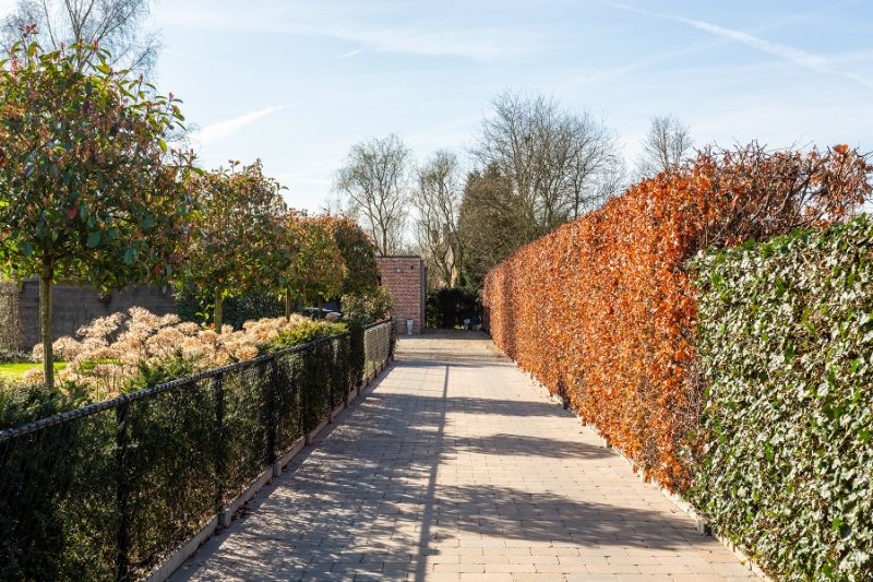 Luxueus afgewerkte villa met een zee van ruimte + bijgebouw , toplocatie! foto 38