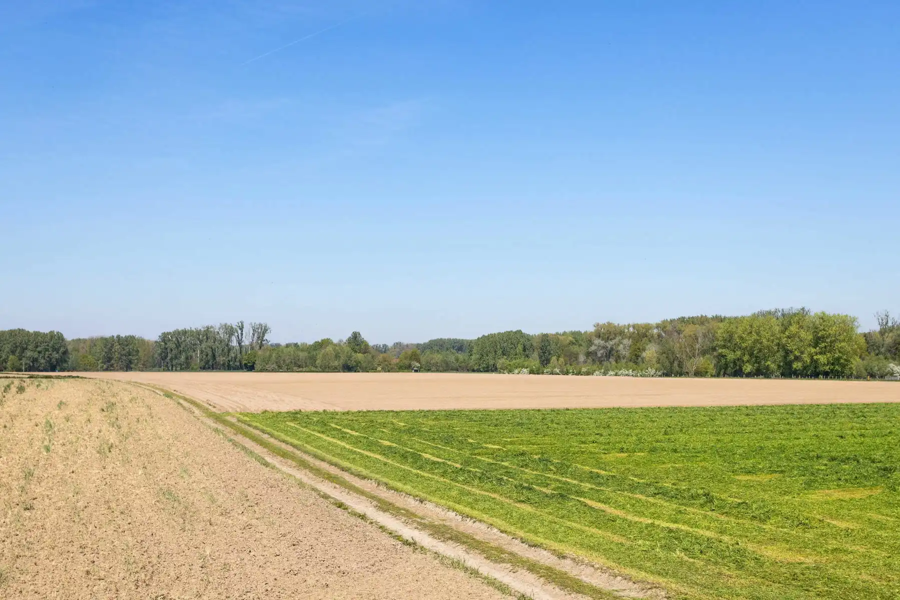 Instapklare woning met 4 slaapkamers en tuin te Erpe! foto 26