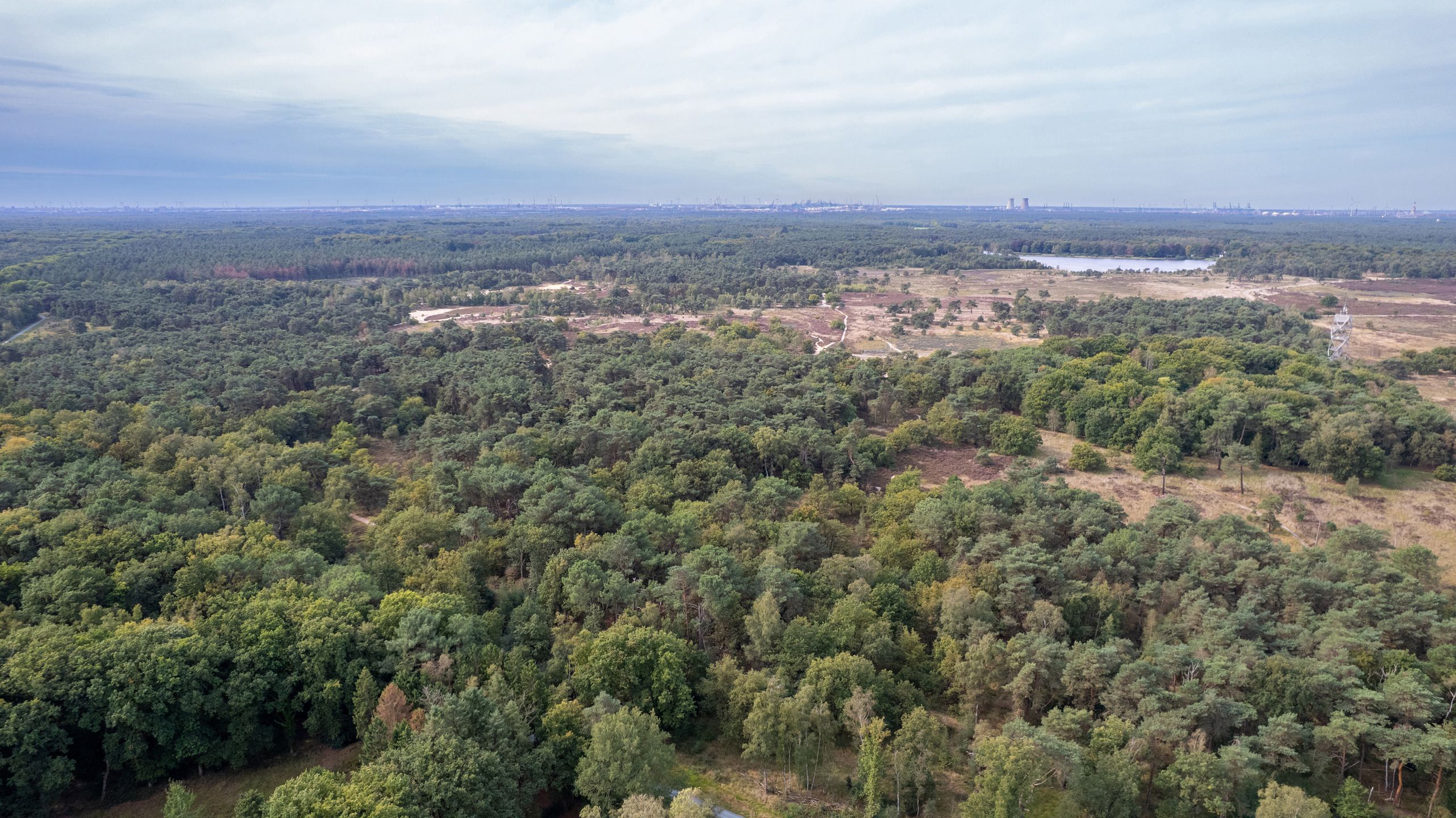 Charmante woning met toegang tot de Heide foto 9