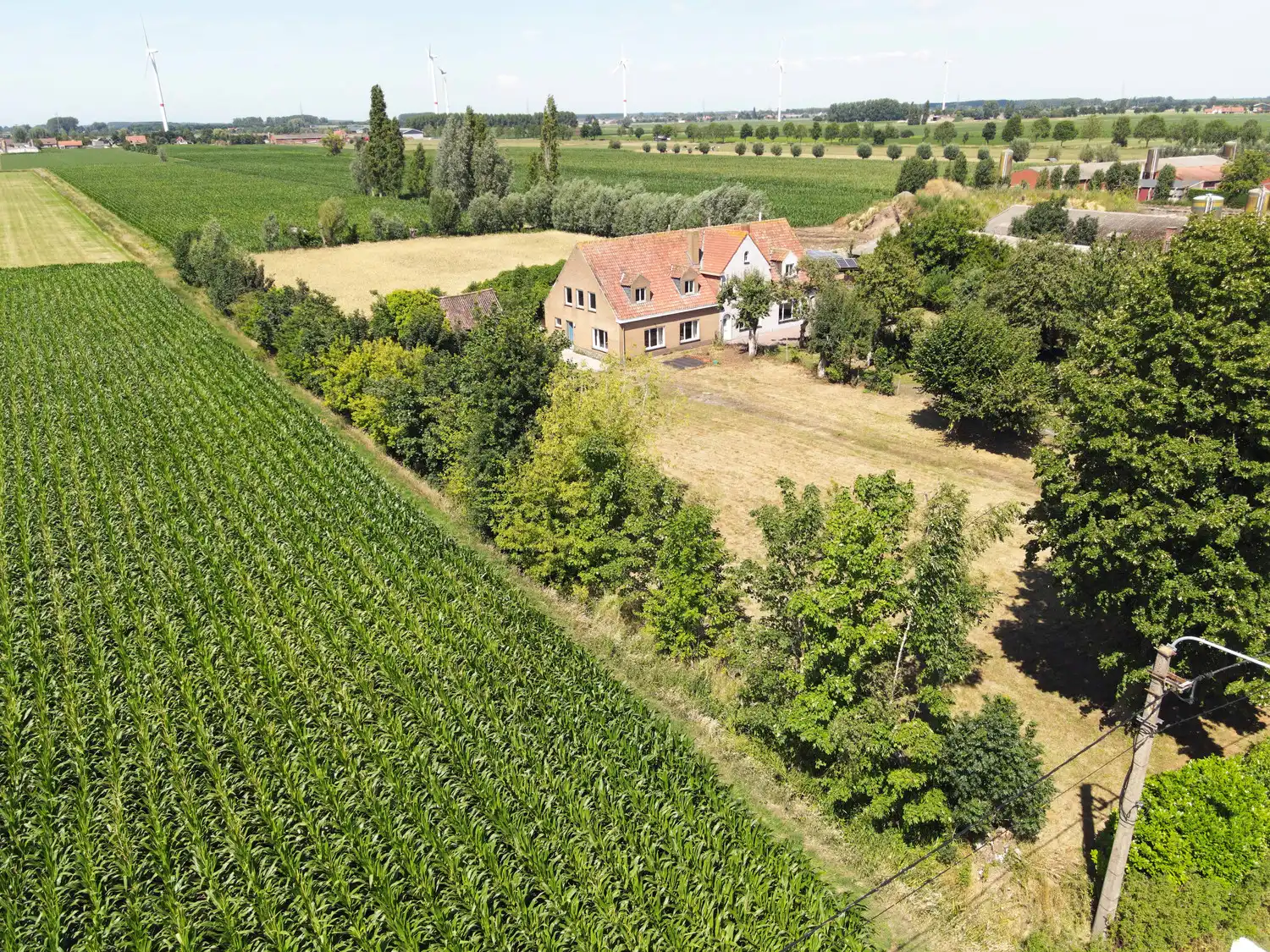 Hoofdfoto van de publicatie: Te renoveren woning met weide op royaal perceel in Eeklo